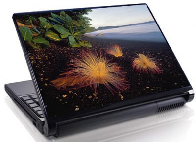 Laptopskin peisaje naturale 00080