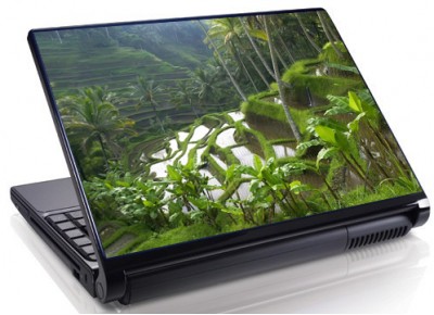 Laptopskin peisaje naturale 00091