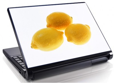 Laptopskin lamai