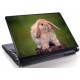 Laptopskin animale 00009