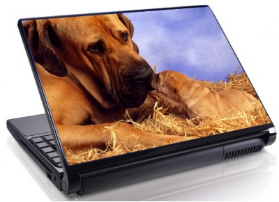 Laptopskin animale 00021
