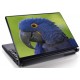 Laptopskin animale 00022