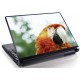 Laptopskin animale 00028