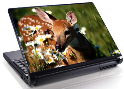 Laptopskin animale 00032