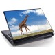 Laptopskin animale 00033