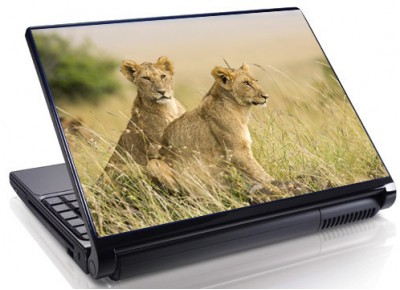Laptopskin animale 00034