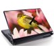 Laptopskin animale 00041
