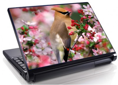 Laptopskin animale 00043