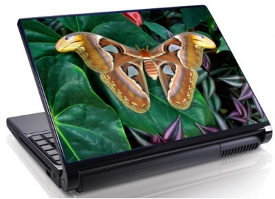 Laptopskin animale 00050