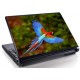 Laptopskin animale 00106
