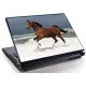Laptopskin animale 00118