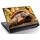 Laptopskin animale 00142
