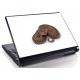 Laptopskin animale 00145