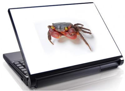 Laptopskin animale 00146
