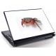 Laptopskin animale 00146