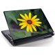 Laptopskin flori 00029