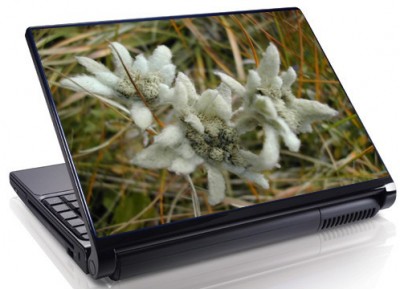 Laptopskin flori 00072