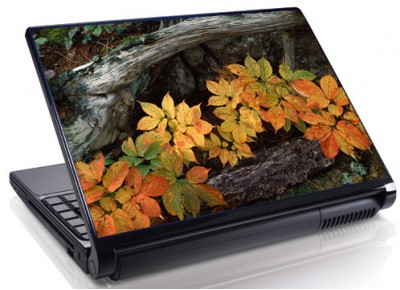 Laptopskin flori 00084