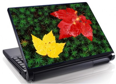 Laptopskin flori 00085